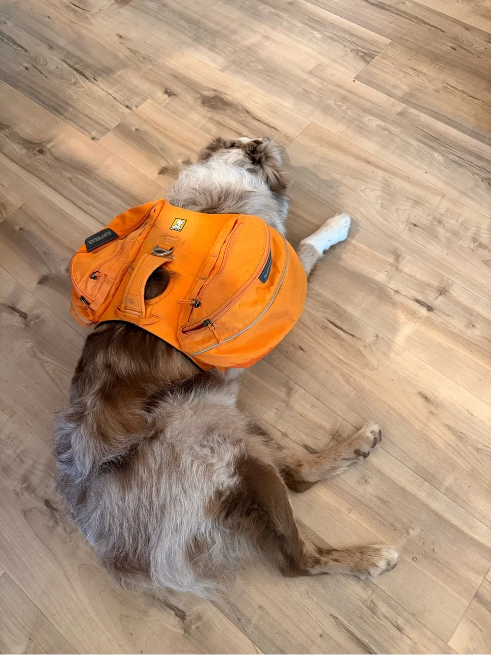 Ruffwear Approach size small dog pack